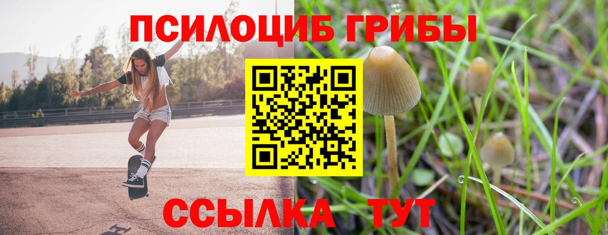 Лесной  Псилоцибиновые грибы мицелий  Галлюциногенные грибы Cubensis  Вход с VPN 