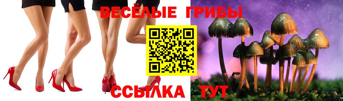 Псилоцибиновые грибы ЛСД Лесной